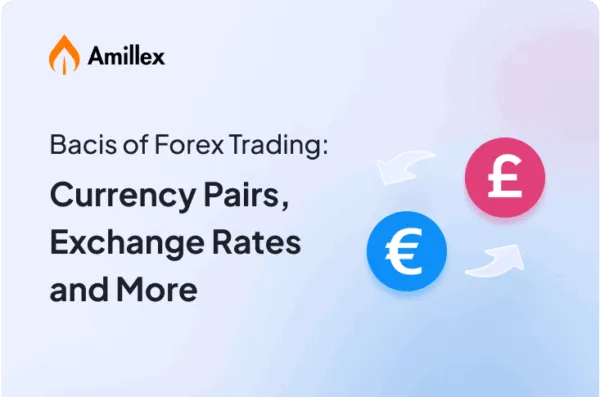 You are currently viewing Bacis of Forex Trading: Currency Pairs, Exchange Rates and More